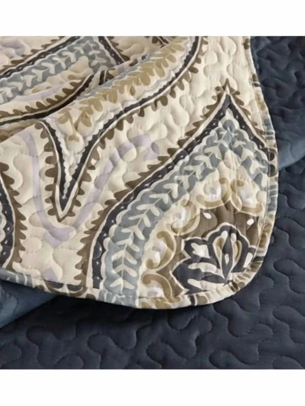Elegant Paisley king/cal king 3 piece quilt set